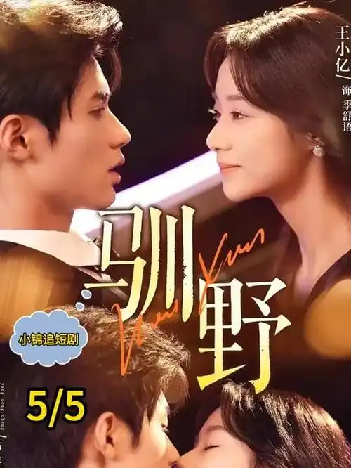 雾港十二时
